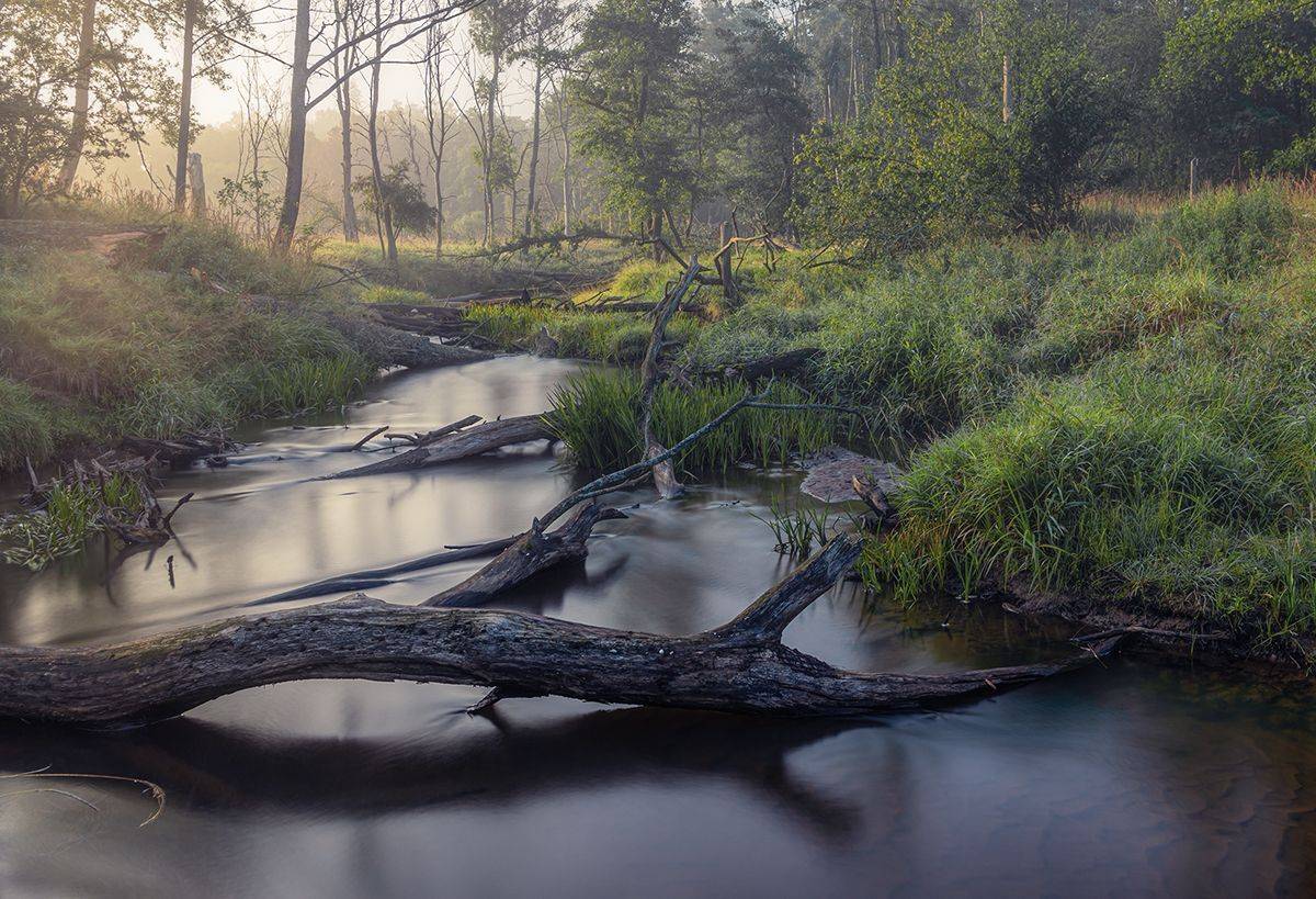 , Sławek Przybylski