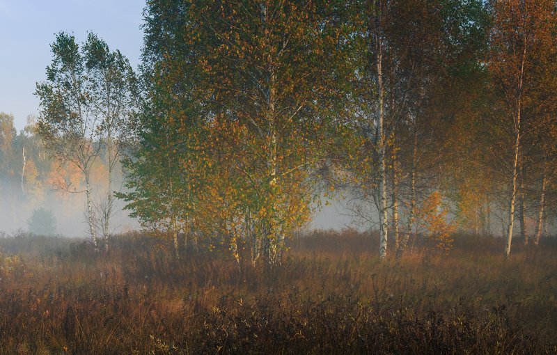 луг, осень, октябрь, утро, рассвет, туман Туманный рассвет на лугу, октябрь фото превью