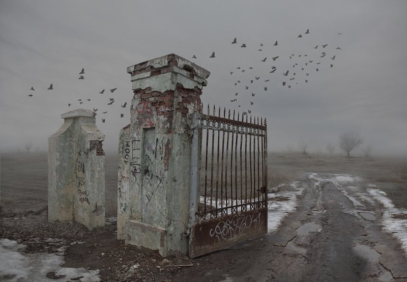 туман Сад забвения фото превью