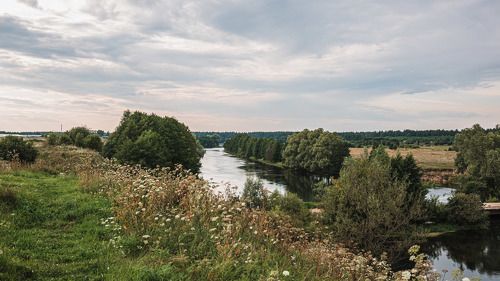 на р. Теша, р.п. Гремячево