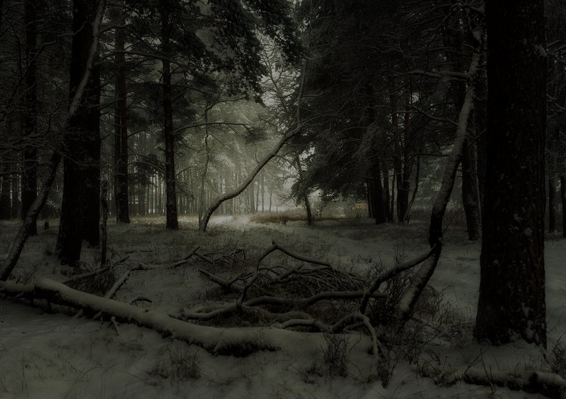 *** фото превью