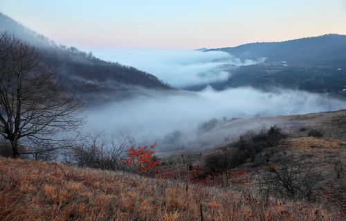 Туман пришёл..