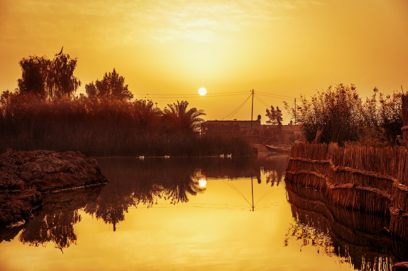 Colors,Marshes,Iraq,trees,Water A quiet moment фото превью