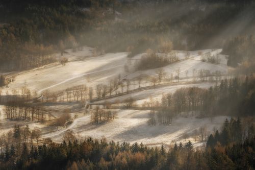 Winter morning