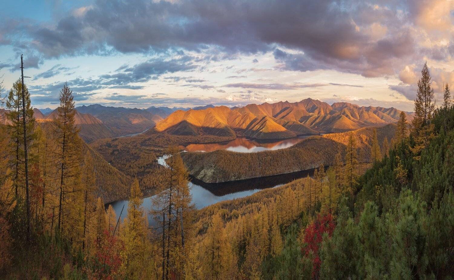 , Павел Глушков