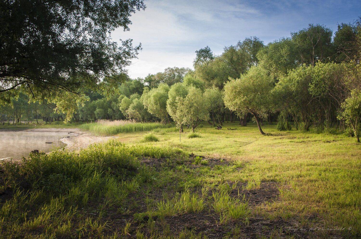 , Александр Кыров