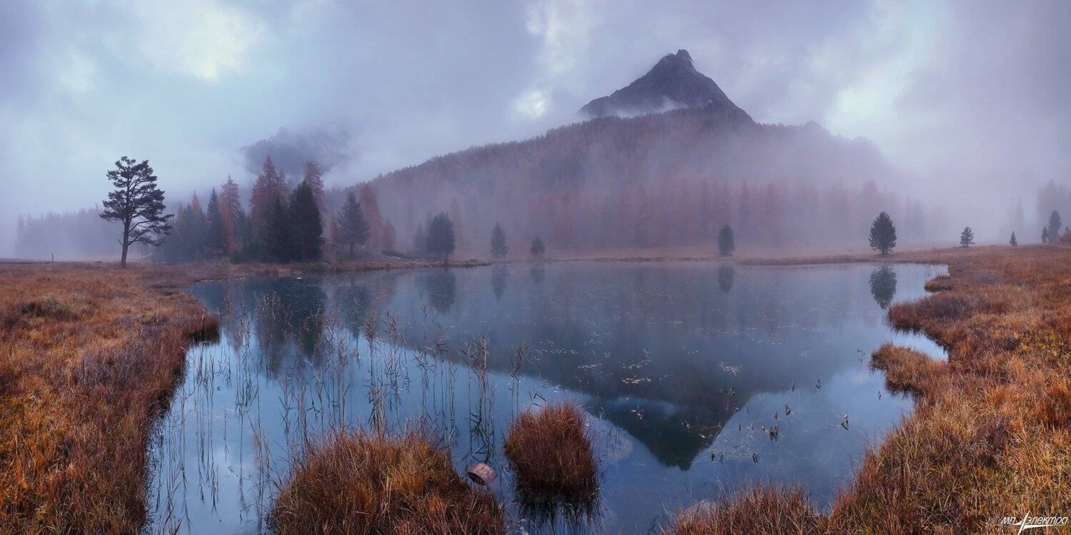 swiss, Матвеев Николай