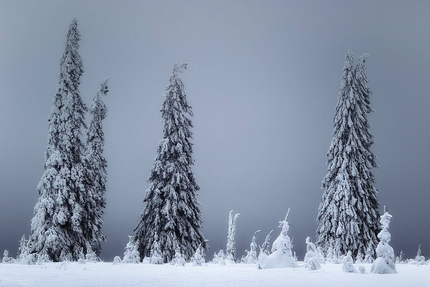 , Антон Кошетаров