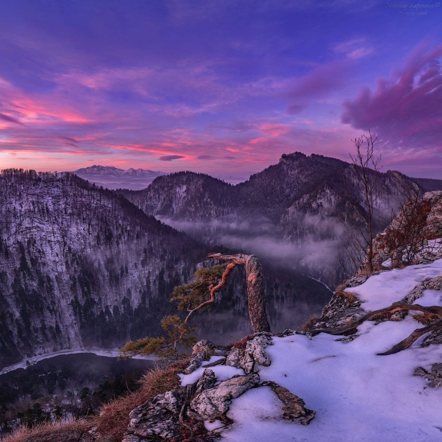 татры, пенины, словакия, польша, бескиды, дунаец, граница, ущелье, tatry, peniny, polska, сосна, горы, Николай Сапронов