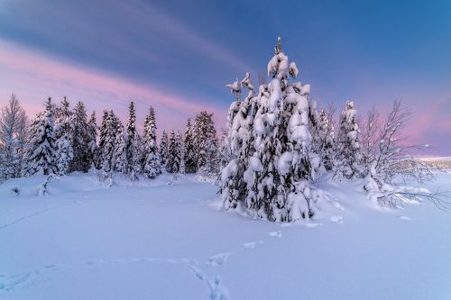 Зимний островок.