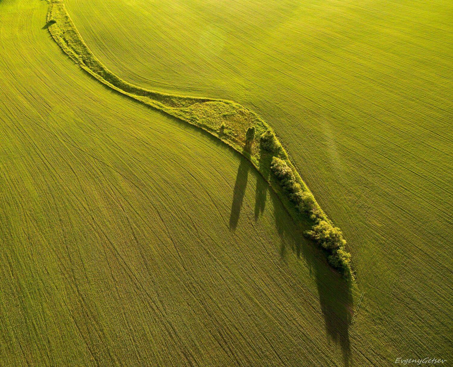 аэрофото, поле,, Евгений Гецев