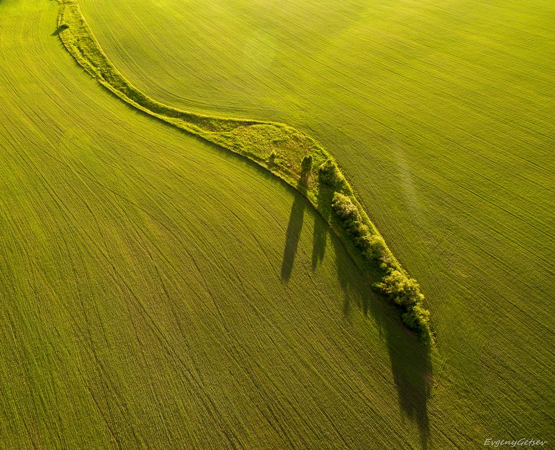 Шлейф фото превью