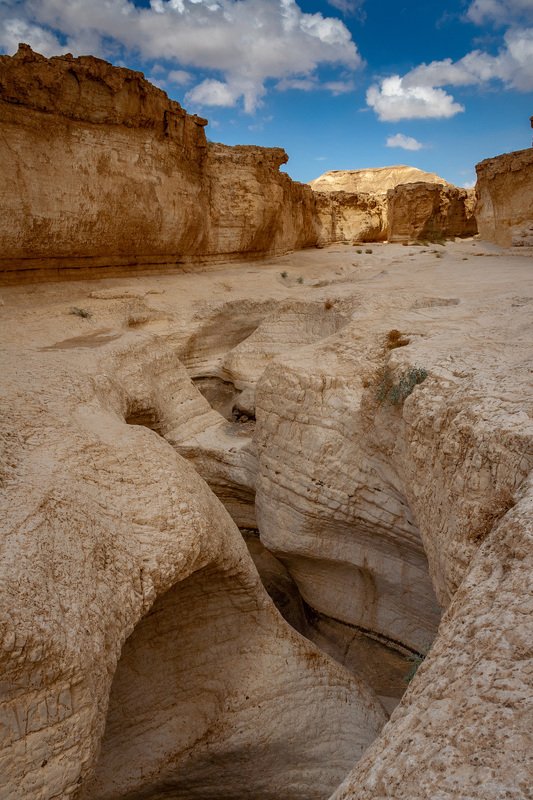 Desert view фото превью