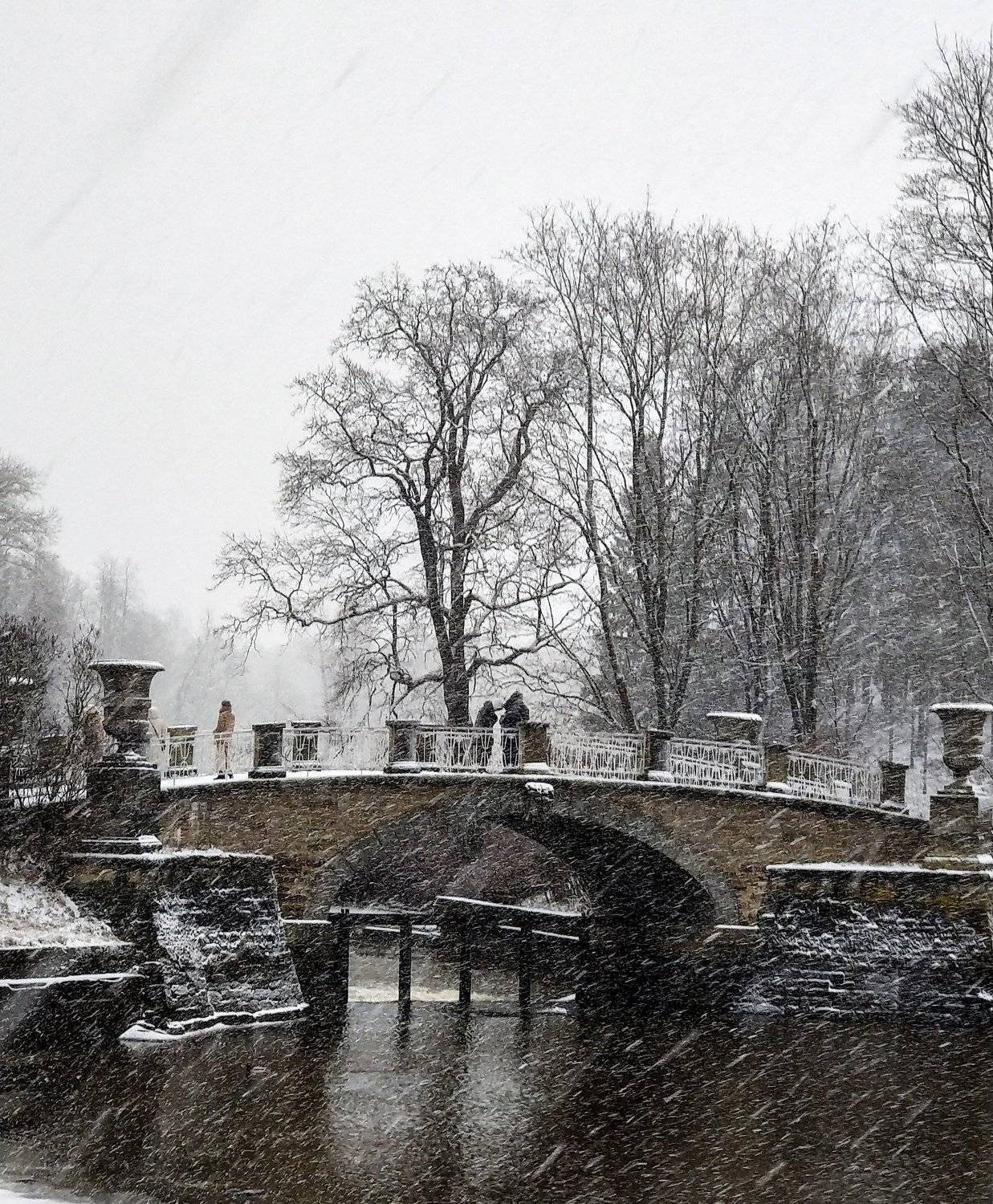 , Зоя Малхова