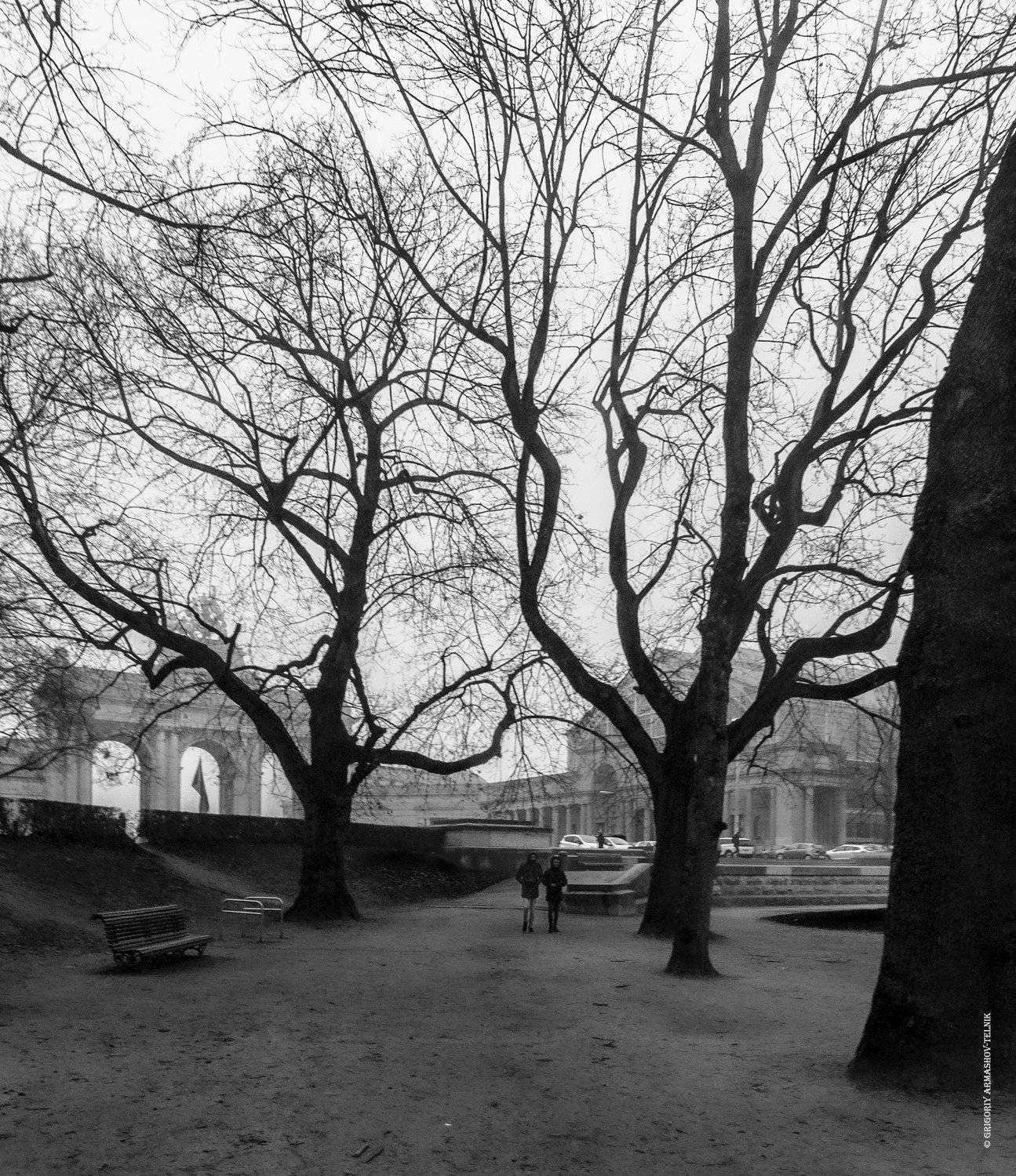 blackandwhite, monochrom, streetphotography, brussels, park, trees, walk, Армашов-Тельник Григорий