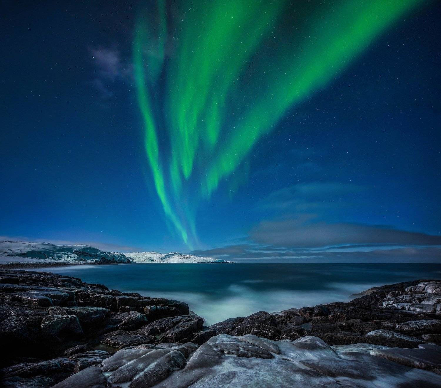 , Елена Ермолина