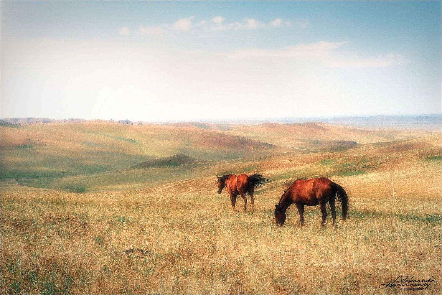 забайкальский край, Александр Леснянский