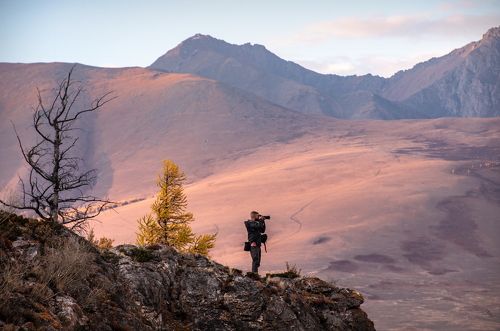 Алтай. Розовый вечер.