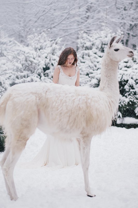 * фото превью