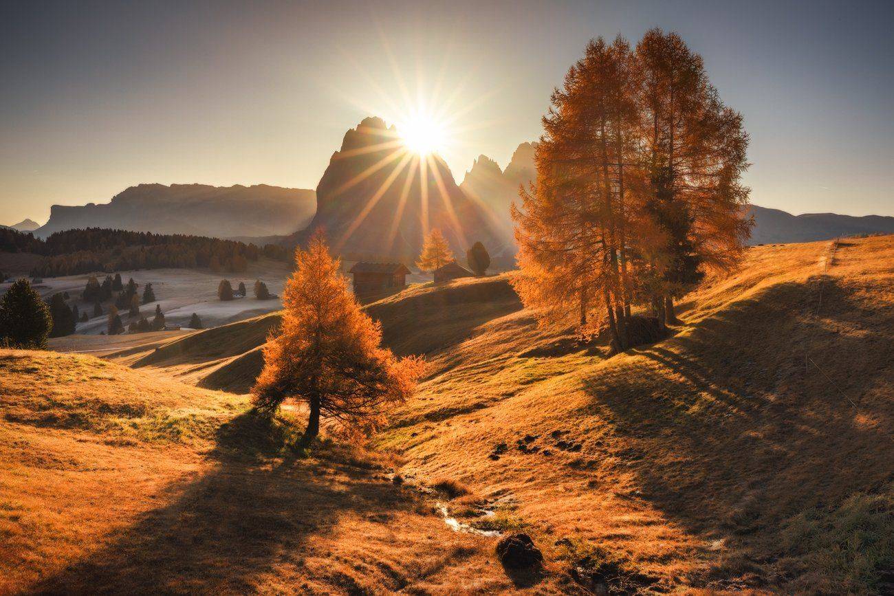 , Pawel Uchorczak