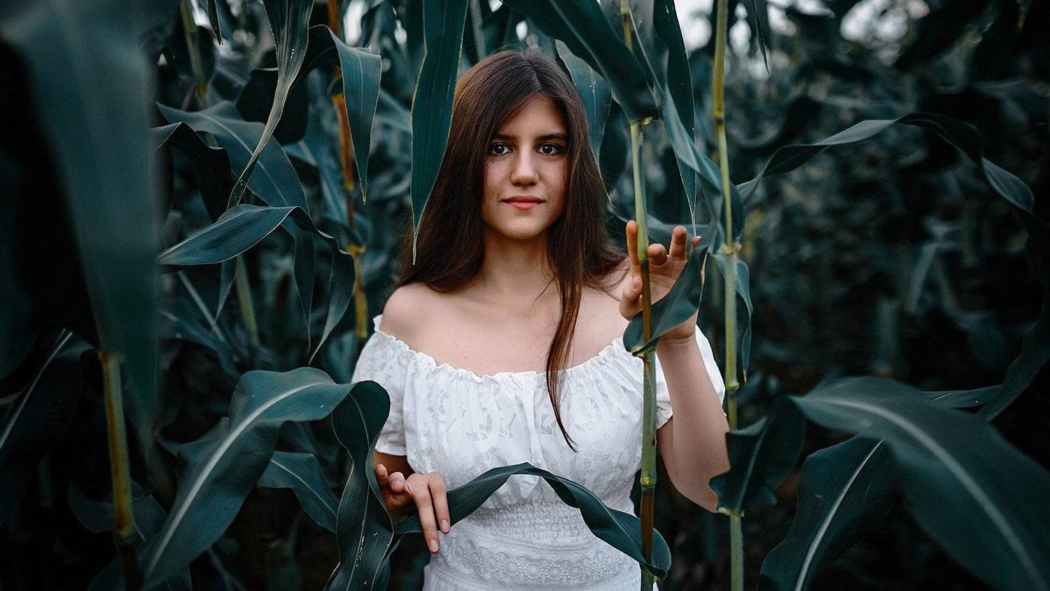 , Юрий Демидов