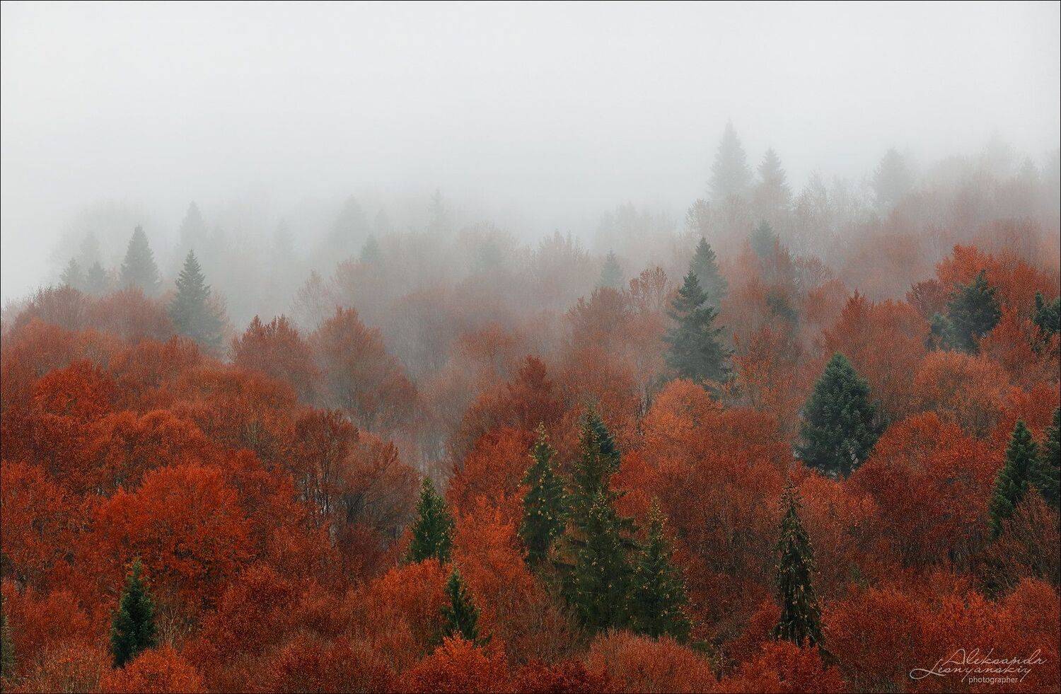 румыния, Александр Леснянский