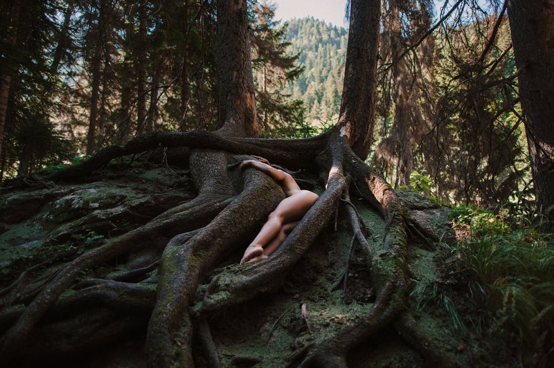 *** фото превью