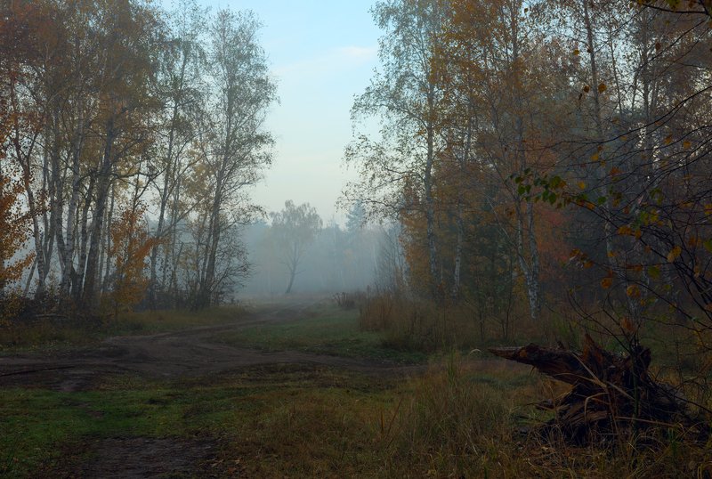 луг, осень, октябрь, утро, сумерки, туман Предрассветная тишина, октябрь фото превью