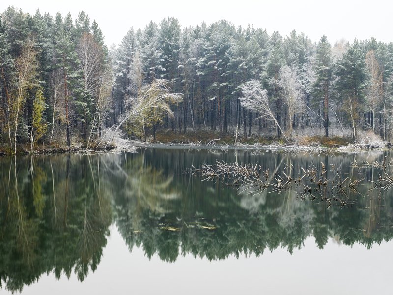 первый снег. пруд у села карпысак новосибирской области фото превью