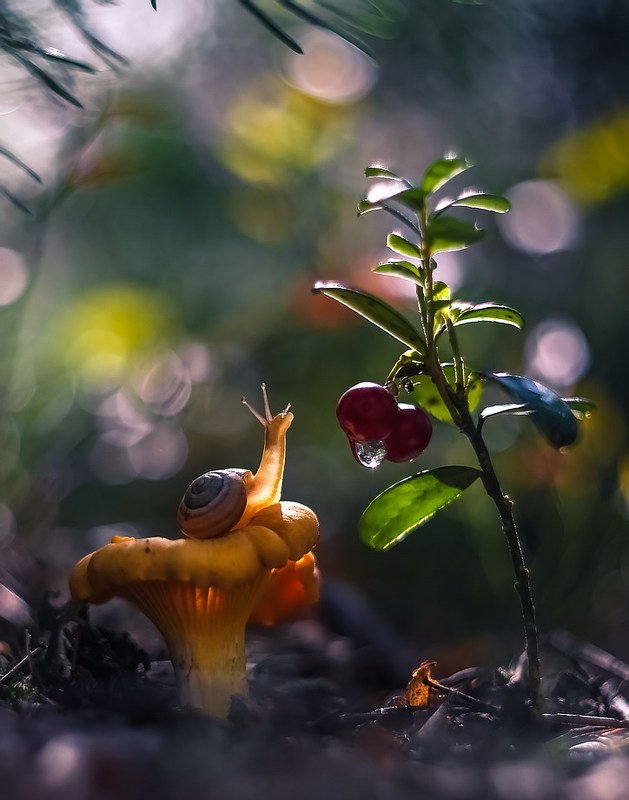 Дверь в иной мир фото превью