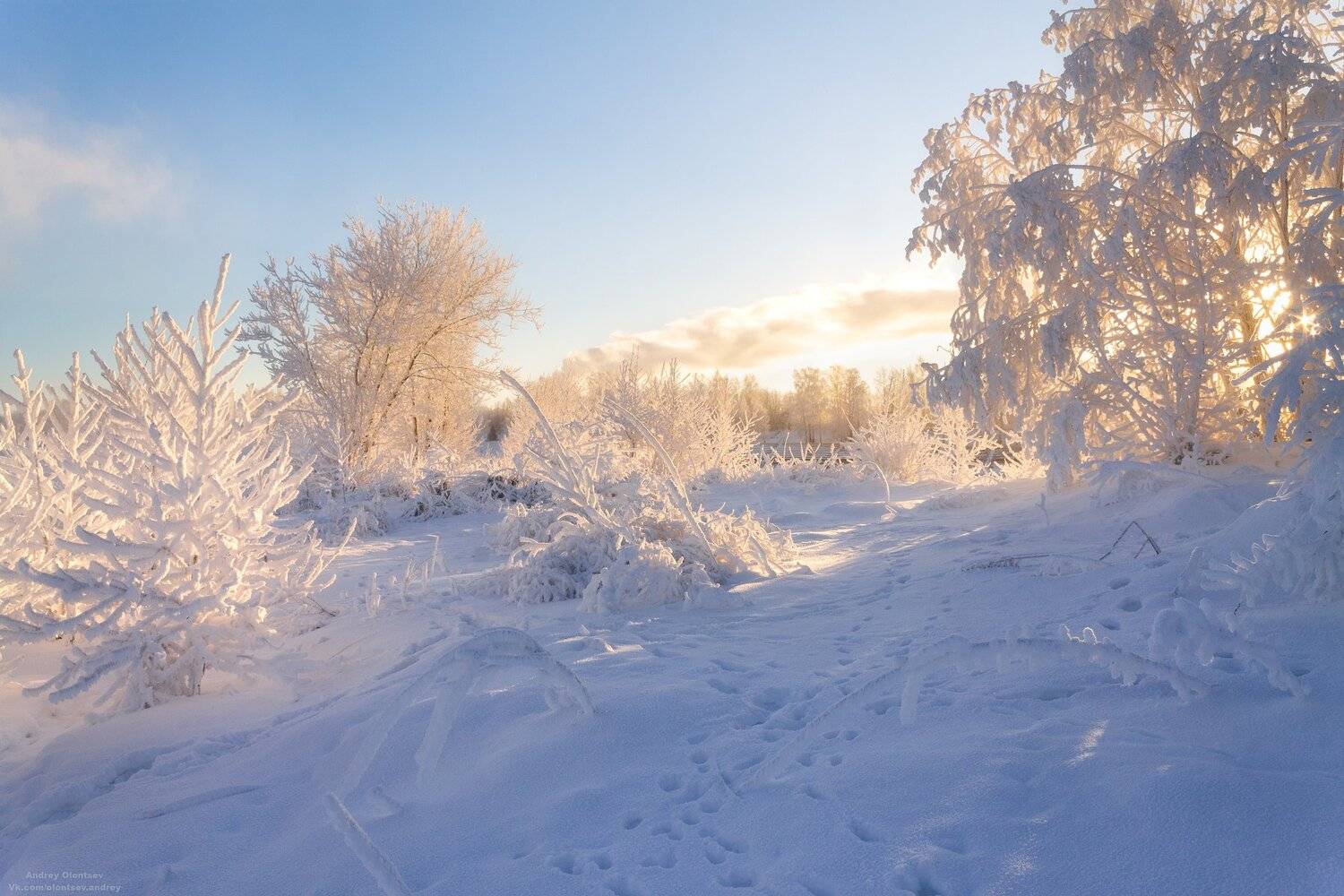 солнце, россия, рассвет, природа, подмосковье, погода, пейзажи, пейзаж, отражение, наукоград, красота, дубна, вода, весна, weather, water, spring, russia, reflection, naukograd, nature, moscow, landscape, dawn, canon, dubna, beauty, Андрей Олонцев