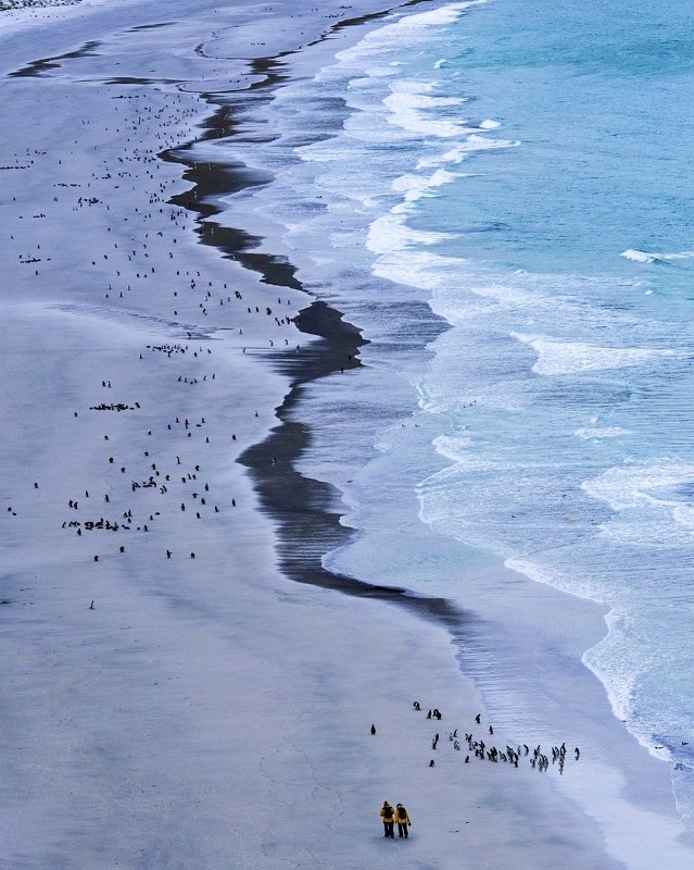 ** фото превью