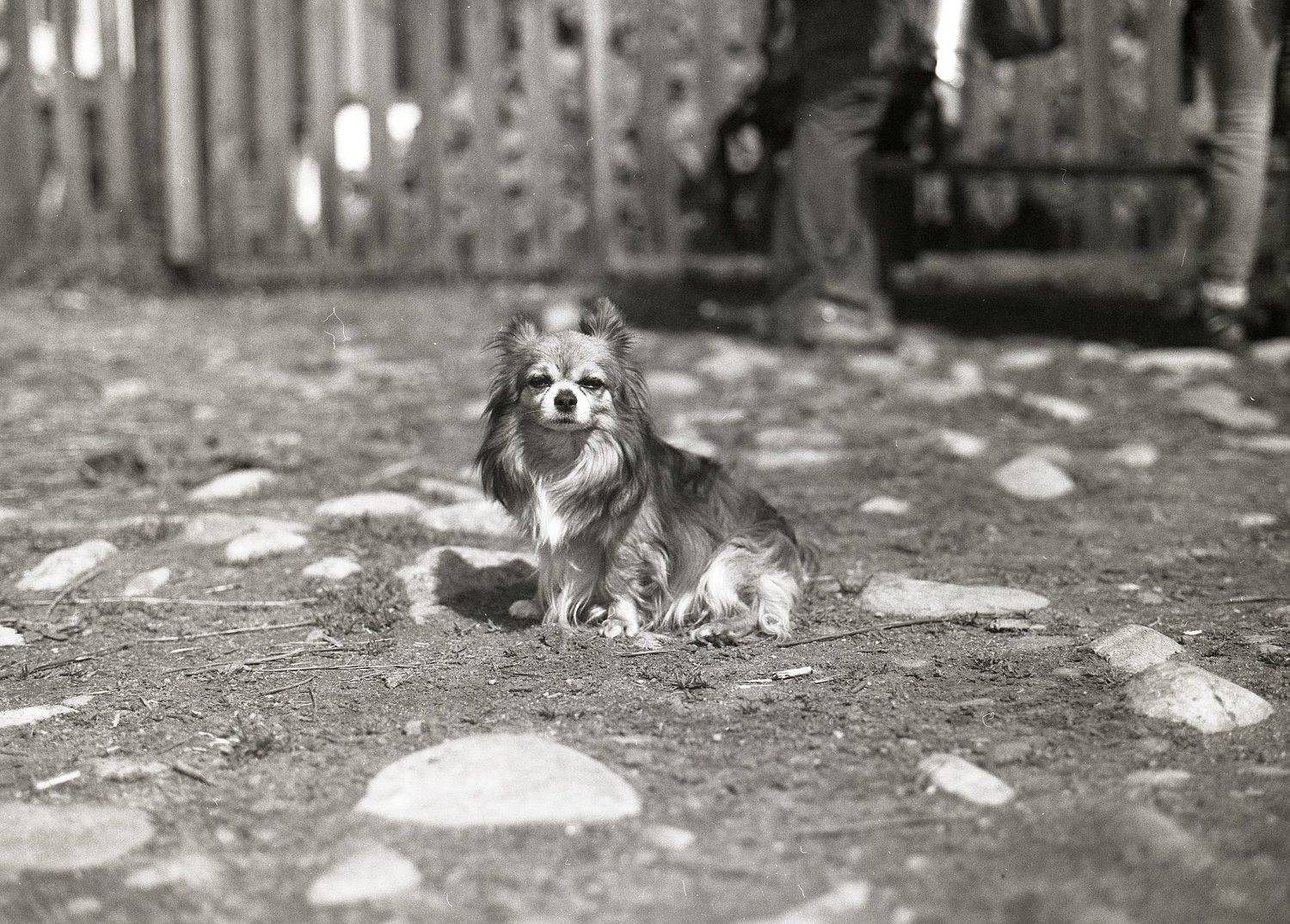 , Илья Глобин