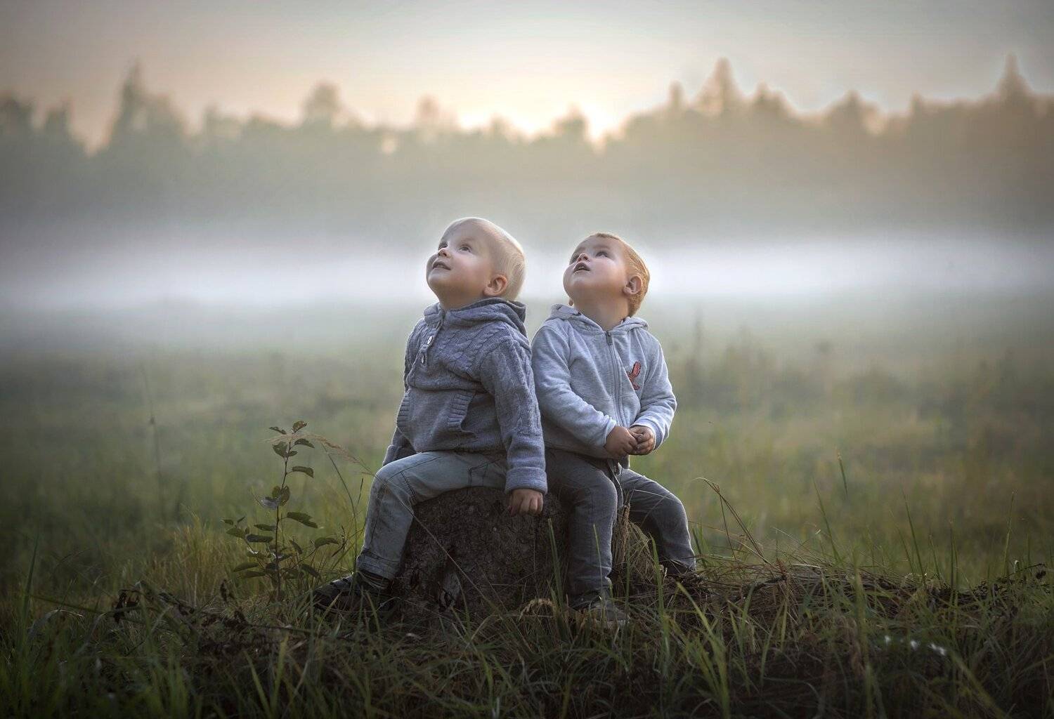 дети, туман, Александра Аксенова