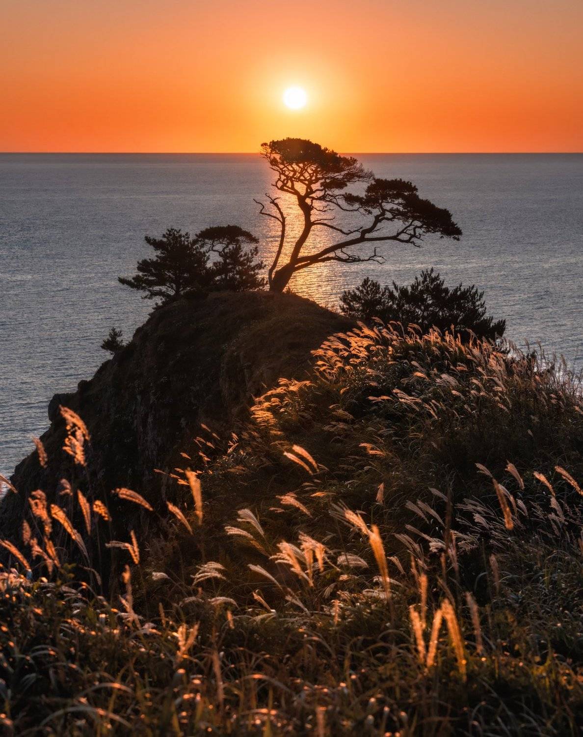 приморье, Андрей Грачев