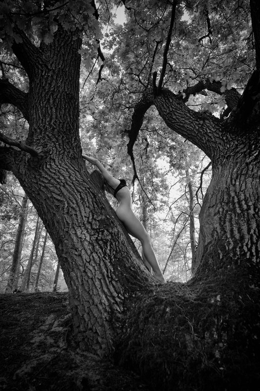 konstantin skomorokh константин скоморох kiev киев severodonetsk северодонецк ню art nude fine art ukraine Forest Nymph фото превью