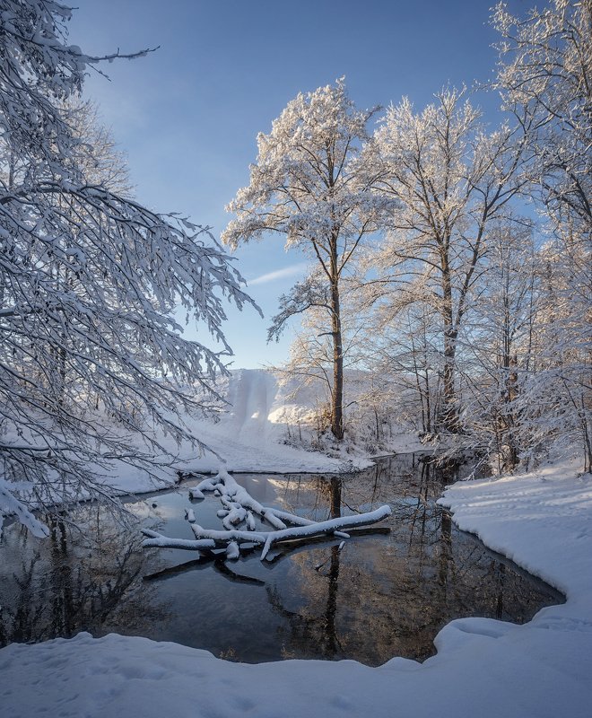 природа утро солнце зима деревья вода ручей снег Зимнее фото превью