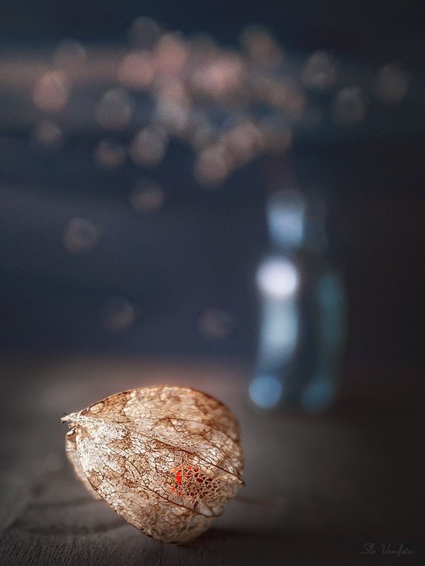 натюрморт Натюр.. фото превью