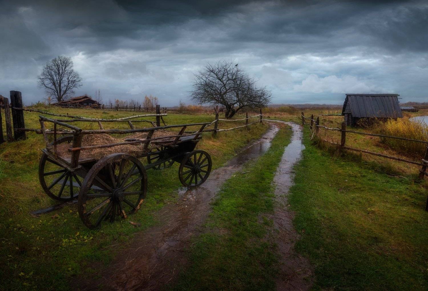 осень, дорога, телега, дождь, россия, непогода, деревня,, Cтанислав Малых