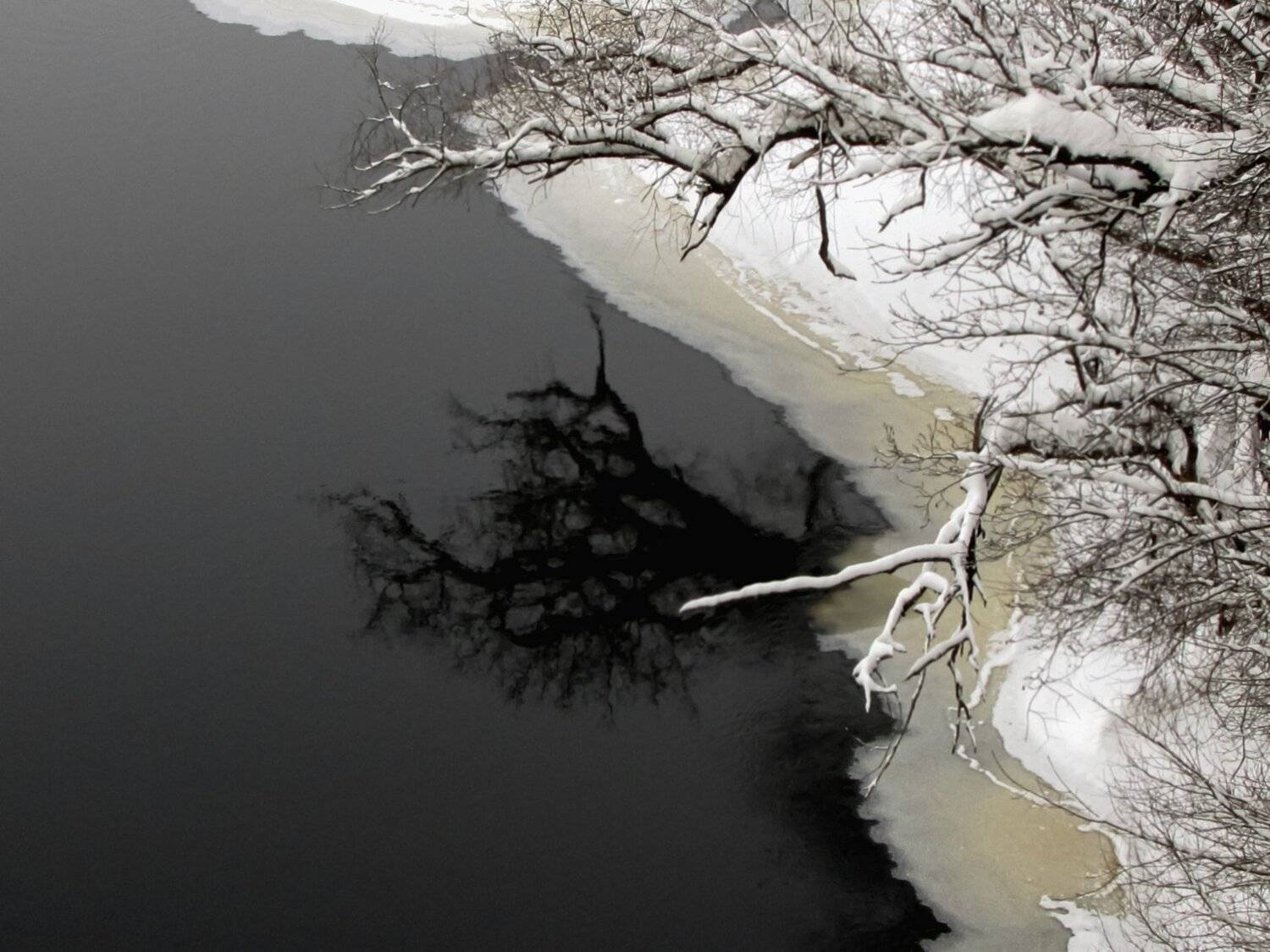 mist,day, country, countryside, outdoor, winter,tree,road,snow, reflection, DZINTRA REGINA JANSONE