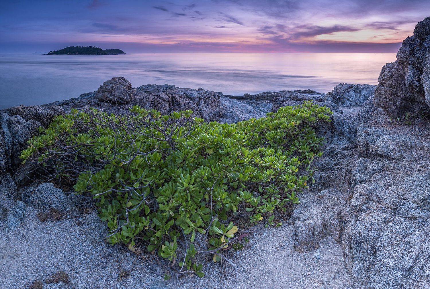 , Станислав Савицкий