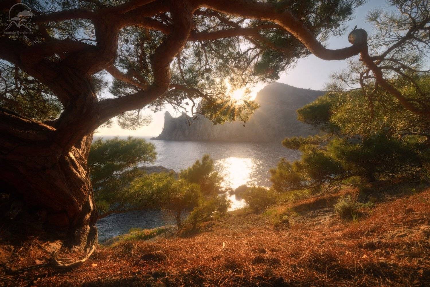 пейзаж, природа, дерево, крым, горы, Анатолий Гордиенко