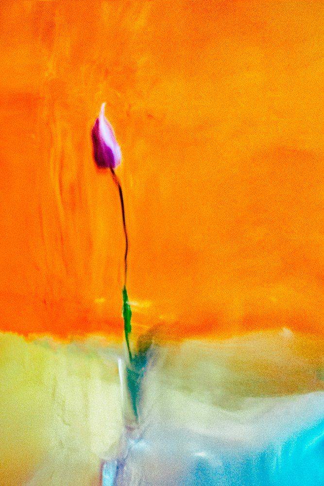 , Татьяна Аверина