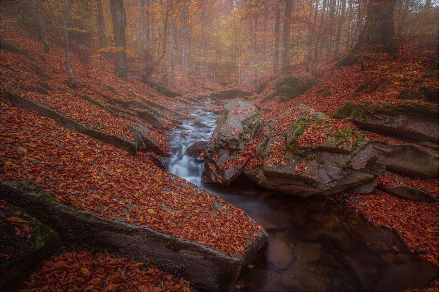 , Рудченко Анатолий