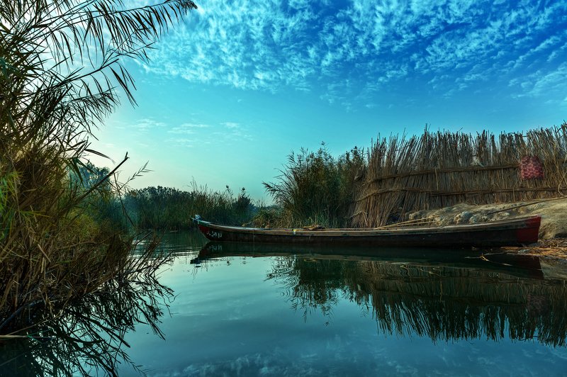 Colors,Marshes,Iraq,trees,Water Dawn boat фото превью