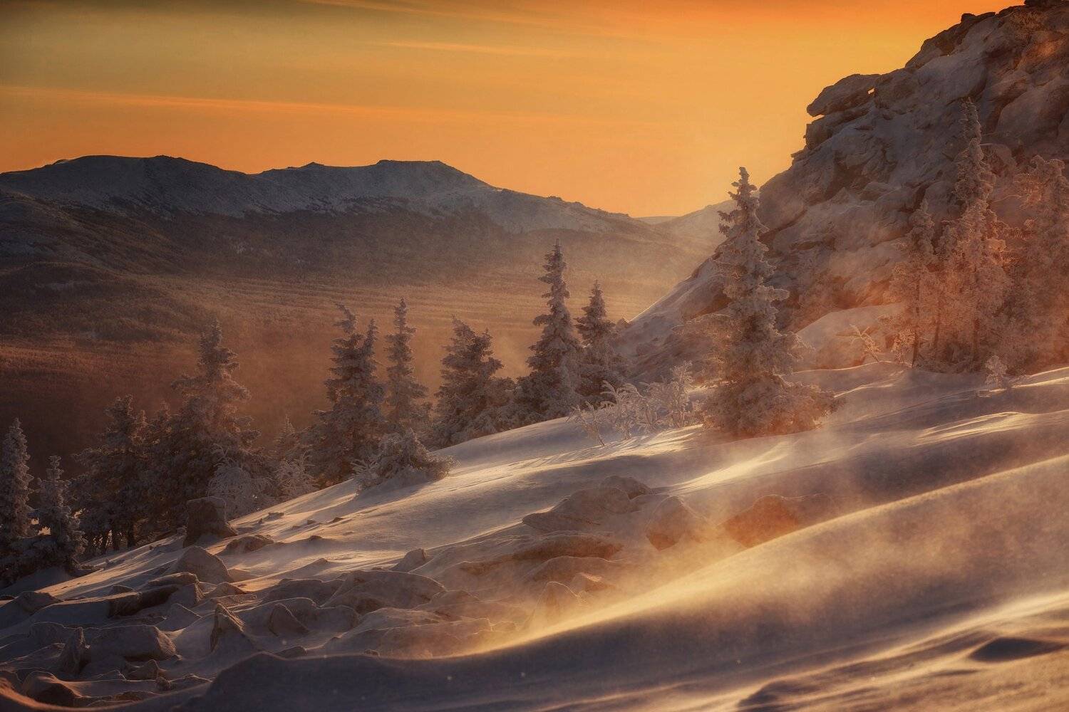 , Татьяна Бирюкова