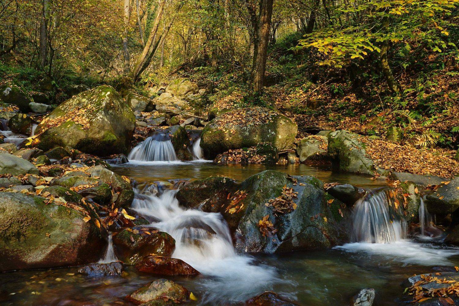 горы река осень, Евгений Никишин