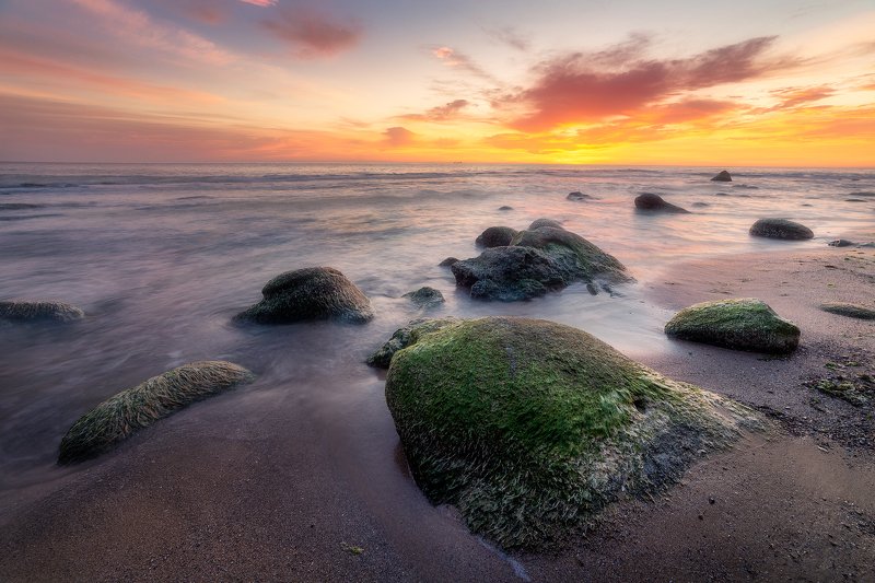 Малиновый рассвет фото превью