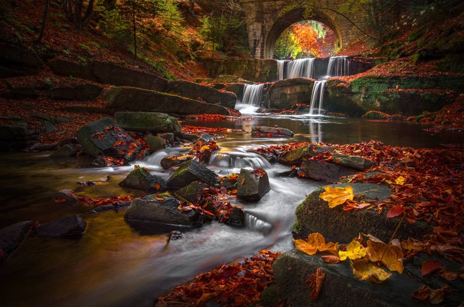 landscape nature scenery forest wood autumn river waterfall longexposure mountain rhodopi bulgaria река лес осень, Александър Александров