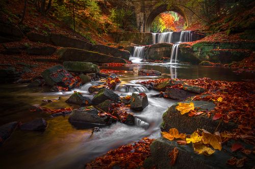 Autumn in the Rhodope Mountains / Осень в горах Родопы